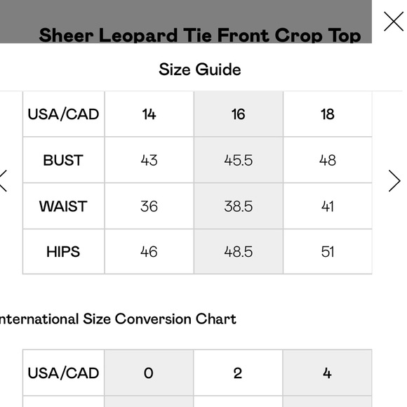 Nasty Gal Animal Print Sheer Bell Sleeve Tie Top 2 Piece Midi Skirt Set - Picture 9 of 12